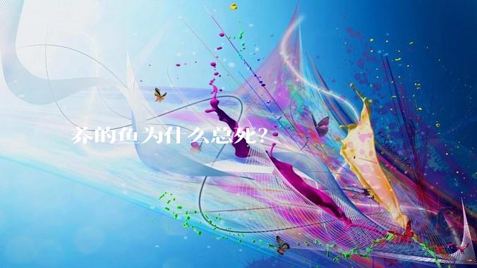 养的鱼为什么总死?