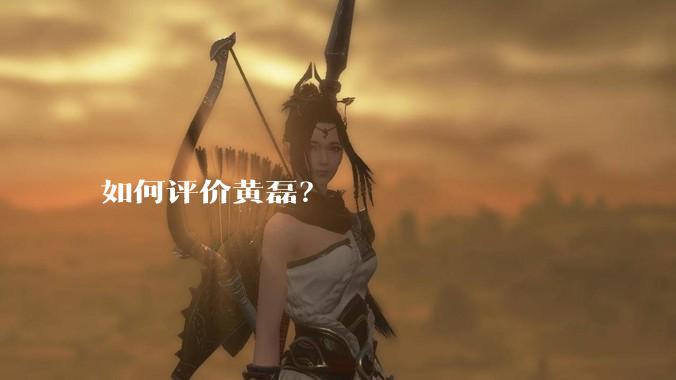 如何评价黄磊?