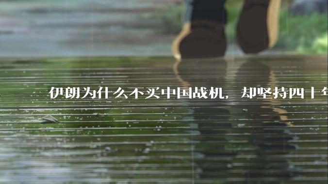 伊朗为什么不买中国战机,却坚持四十年用老旧的苏联米格29、美国F14雄猫战斗机?