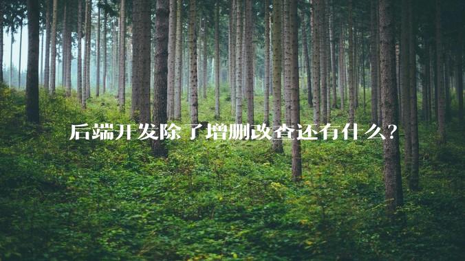 后端开发除了增删改查还有什么?