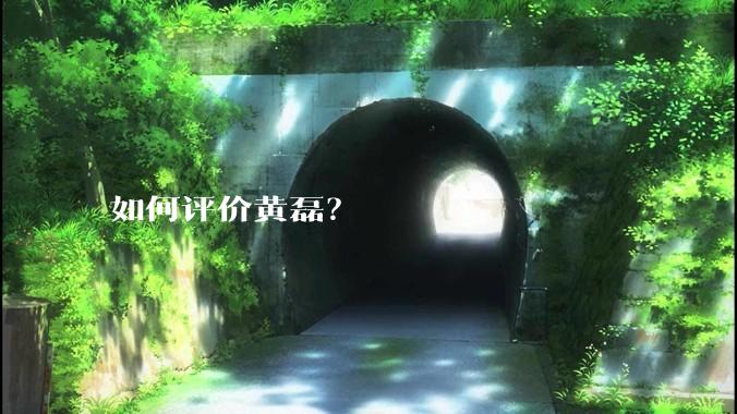 如何评价黄磊?