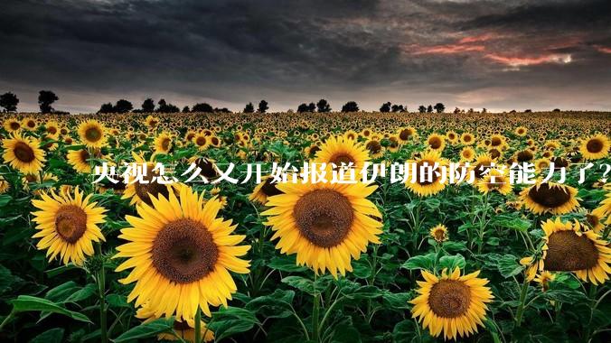 央视怎么又开始报道伊朗的防空能力了?是有神秘的力量开始介入了吗?