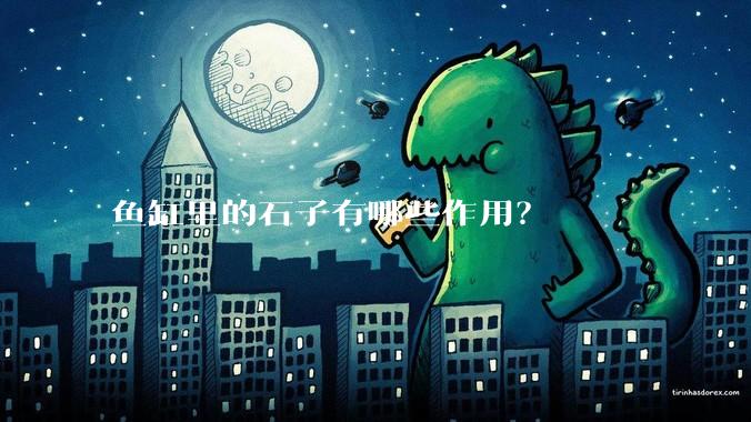 鱼缸里的石子有哪些作用?