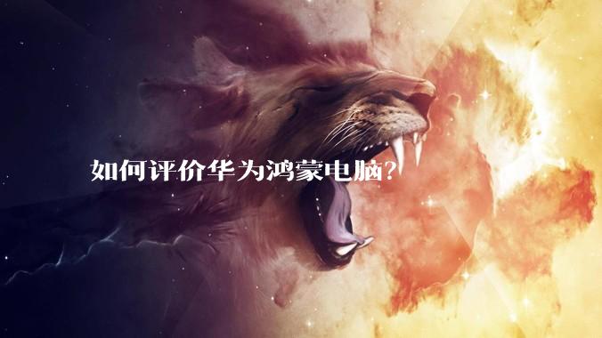 如何评价华为鸿蒙电脑?