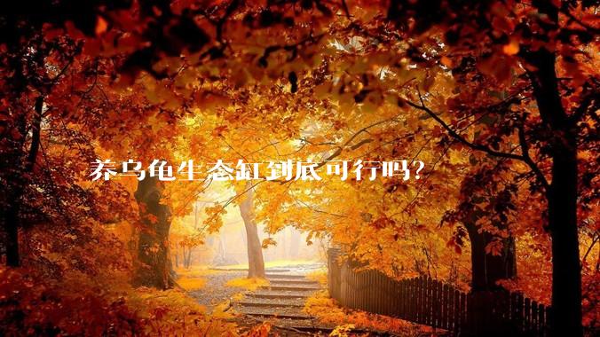 养乌龟生态缸到底可行吗?