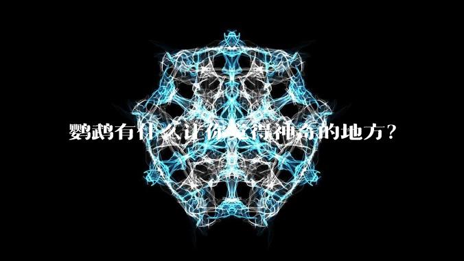 鹦鹉有什么让你觉得神奇的地方?
