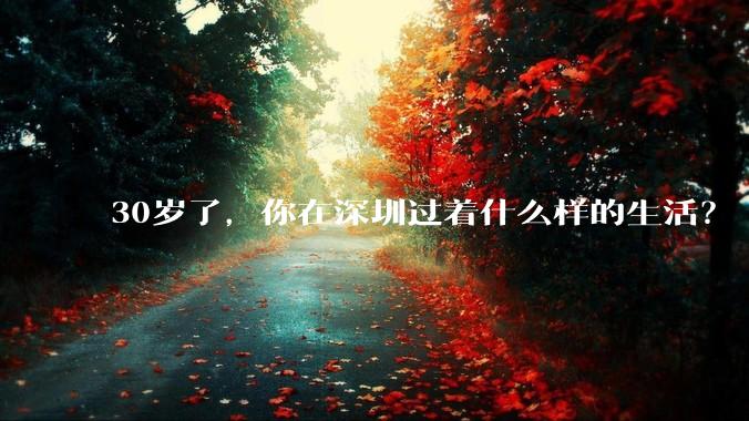 30岁了,你在深圳过着什么样的生活?