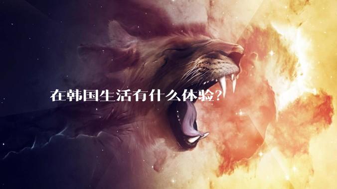 在韩国生活有什么体验?