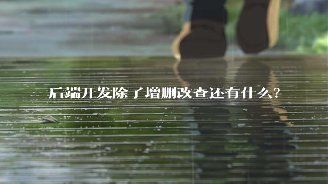 后端开发除了增删改查还有什么?