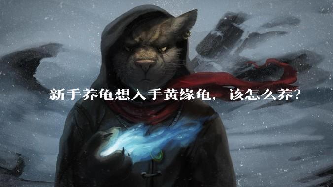 新手养龟想入手黄缘龟,该怎么养?