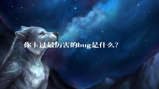 你卡过最厉害的bug是什么?