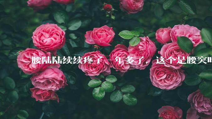 腰陆陆续续疼了一年多了,这个是腰突吗?