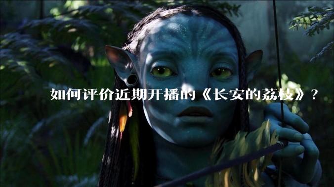 如何评价近期开播的《长安的荔枝》?