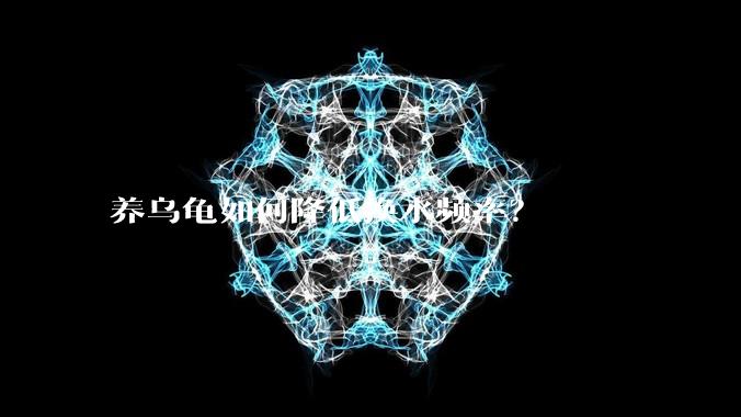 养乌龟如何降低换水频率?