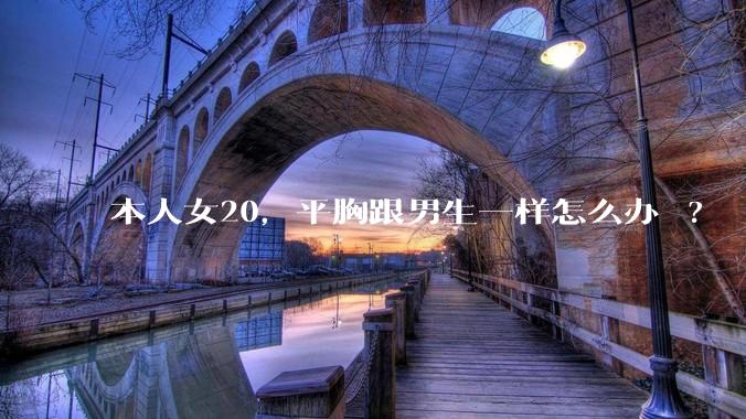 本人女20,平胸跟男生一样怎么办 ?