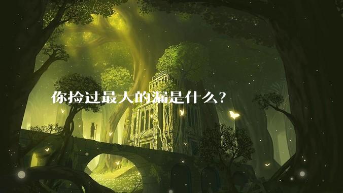 你捡过最大的漏是什么?