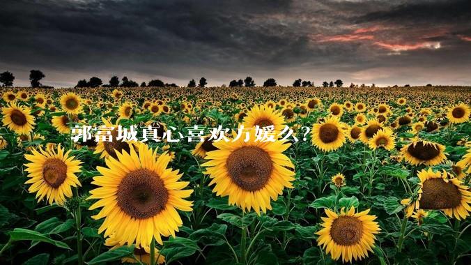 郭富城真心喜欢方媛么?