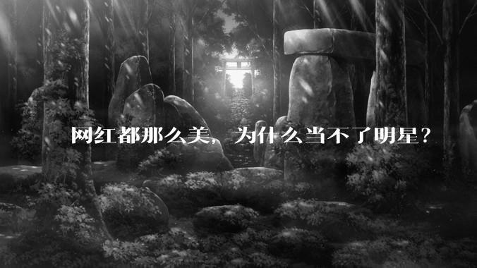 网红都那么美,为什么当不了明星?