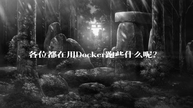 各位都在用Docker跑些什么呢?