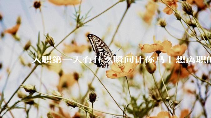入职第一天有什么瞬间让你马上想离职的?
