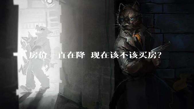 房价一直在降 现在该不该买房?