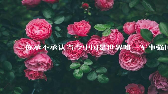 你承不承认当今中国是世界唯一军事强国?