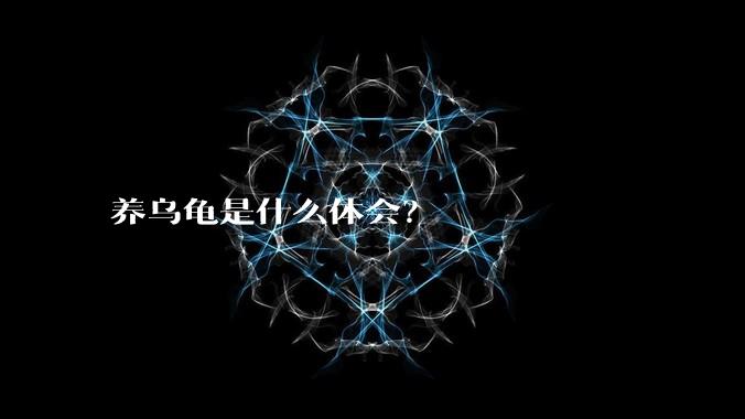 养乌龟是什么体会?