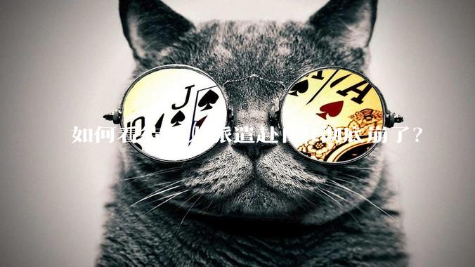 如何看待华人派遣赴日it彻底崩了?