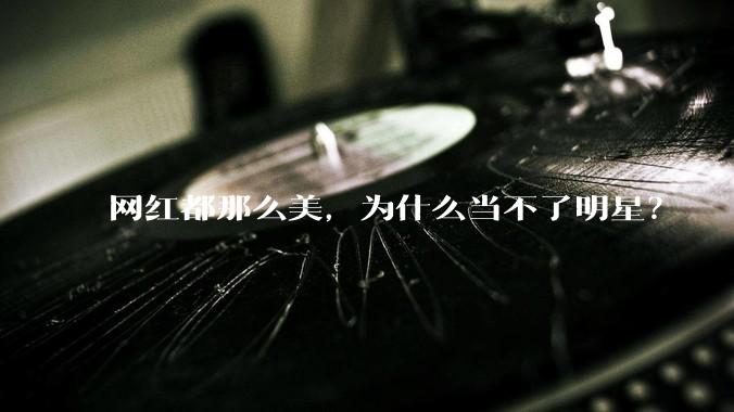 网红都那么美,为什么当不了明星?