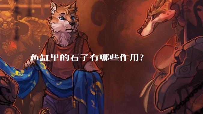 鱼缸里的石子有哪些作用?