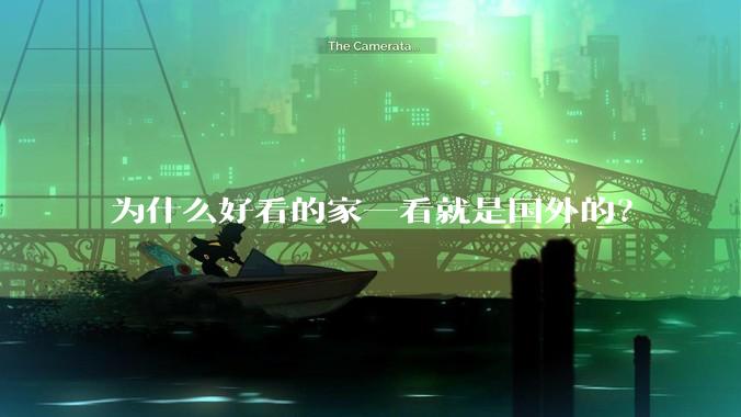 为什么好看的家一看就是国外的?