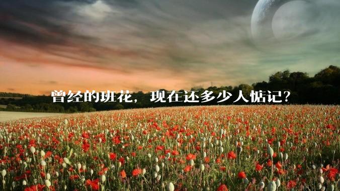 曾经的班花,现在还多少人惦记?