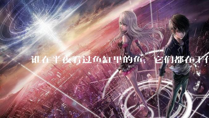 谁在半夜看过鱼缸里的鱼,它们都在干什么?