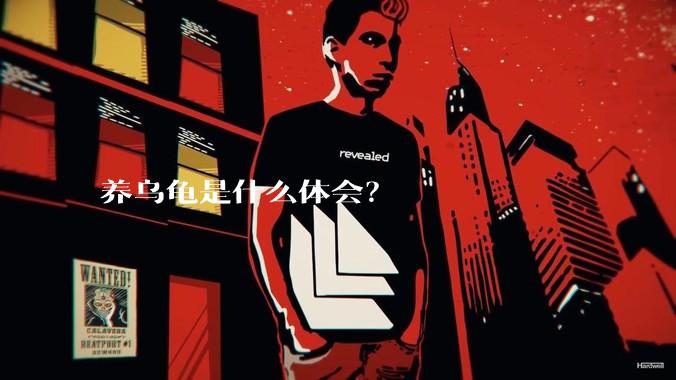 养乌龟是什么体会?