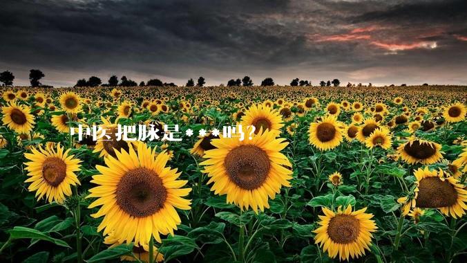 中医把脉是***吗?