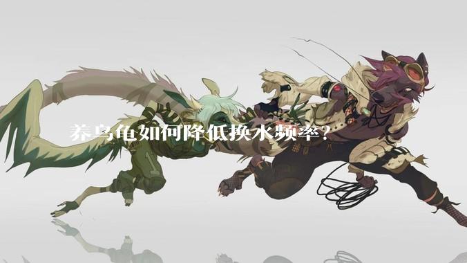 养乌龟如何降低换水频率?