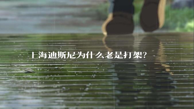 上海迪斯尼为什么老是打架?