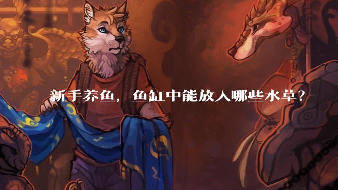 新手养鱼,鱼缸中能放入哪些水草?