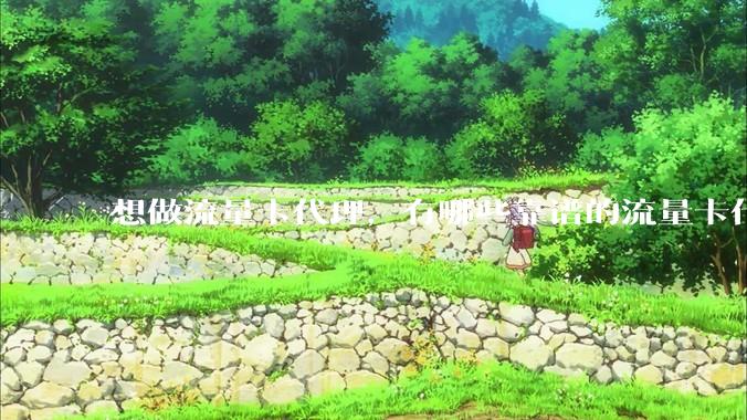 想做流量卡代理，有哪些靠谱的流量卡代理平台？
