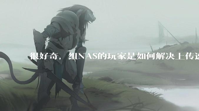 很好奇,组NAS的玩家是如何解决上传速率的问题?