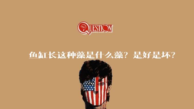 鱼缸长这种藻是什么藻?是好是坏?