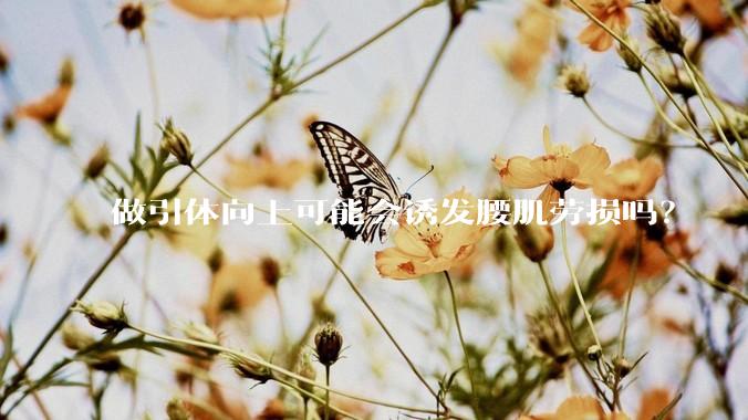 做引体向上可能会诱发腰肌劳损吗?