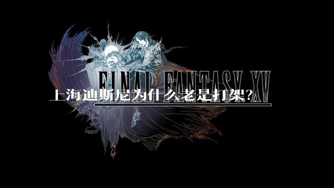 上海迪斯尼为什么老是打架?