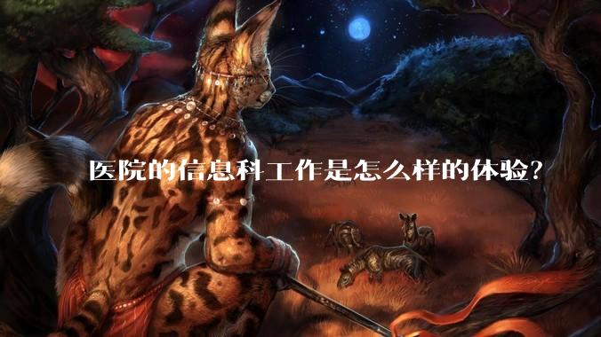 医院的信息科工作是怎么样的体验?