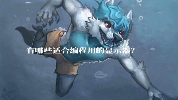 有哪些适合编程用的显示器?
