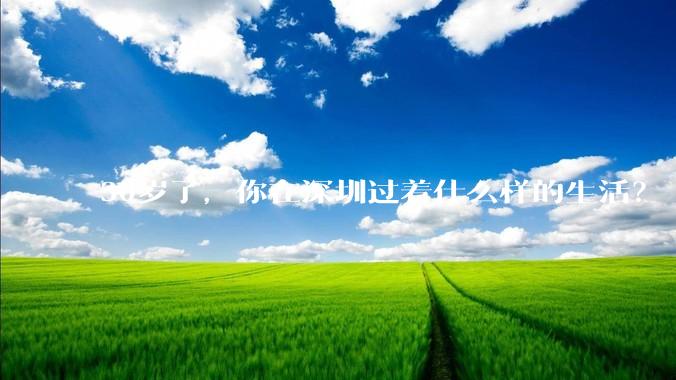 30岁了,你在深圳过着什么样的生活?