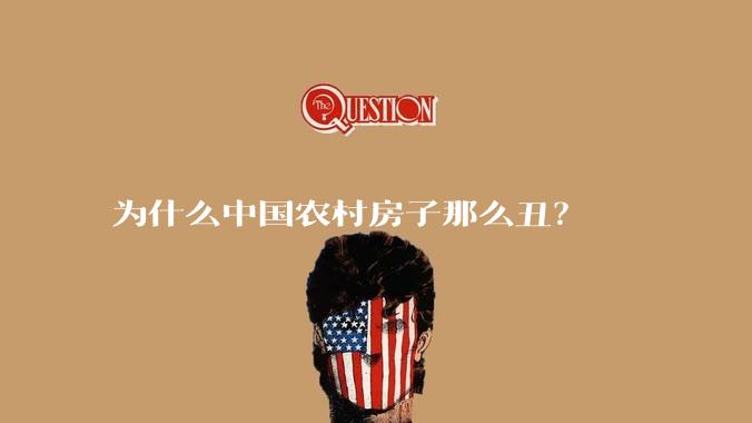为什么中国农村房子那么丑?