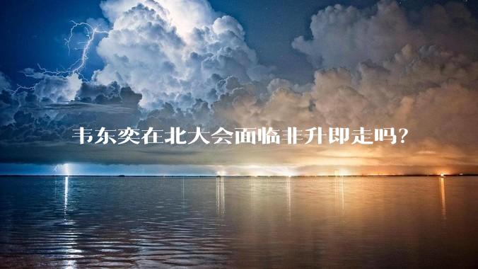 韦东奕在北大会面临非升即走吗?