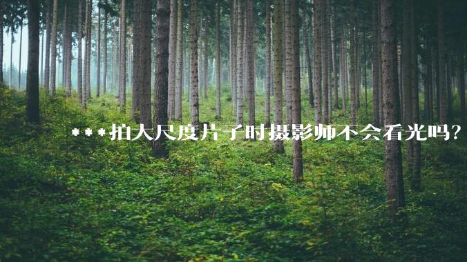 ***拍大尺度片子时摄影师不会看光吗?