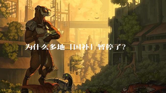 为什么多地「国补」暂停了?